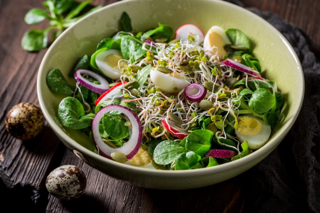 Spring green salad with lettuce, quail eggs and sprouts